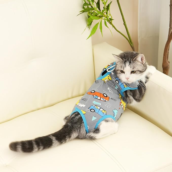 kzrfojy Cat Recovery Suit Cat Onesie for Cats After Surgery Female Male Spay Kitten Neuter Surgical Bodysuit Post Surgery Cone of Shame Alternative Anti Licking (Gray, Small)