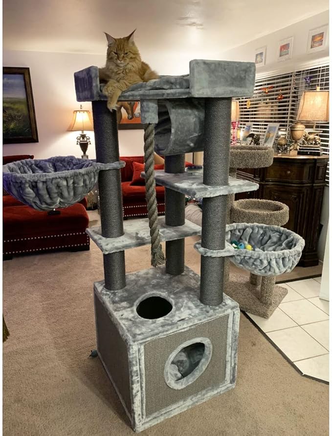 CozyCatFurniture Heavy Duty Cat Tree for Large Cats with Two Hammocks, Huge Condo and XXL Bed on Top