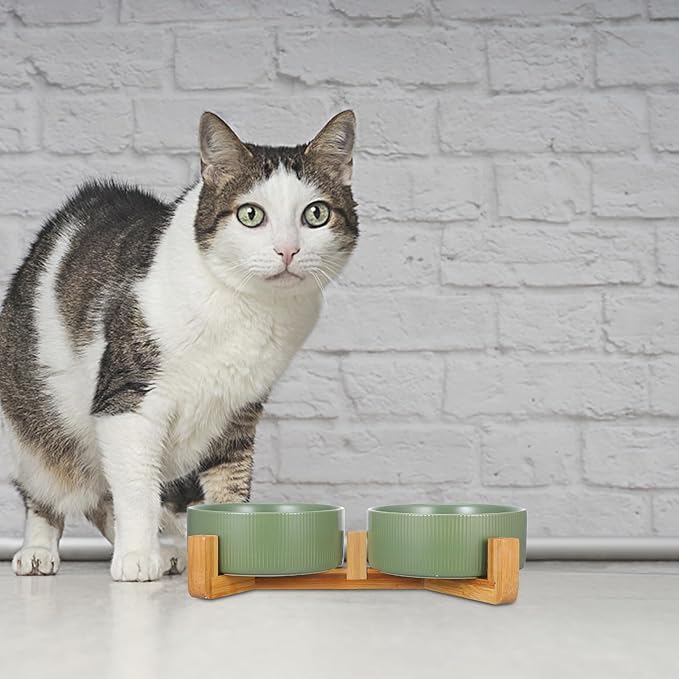 Ceramic Cat and Dog Feeding Bowl Set with Wood Stand, Non-Slip Raised Double Bowls for Pets, Matte Green Finish, Suitable for Indoor Feeding and Watering