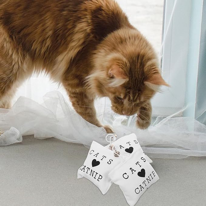 3pcs Catnip Canvas Cat Chew Bags Teeth Cleaning Kitten Assortment Interactive Indoor Play for Cats Random Color