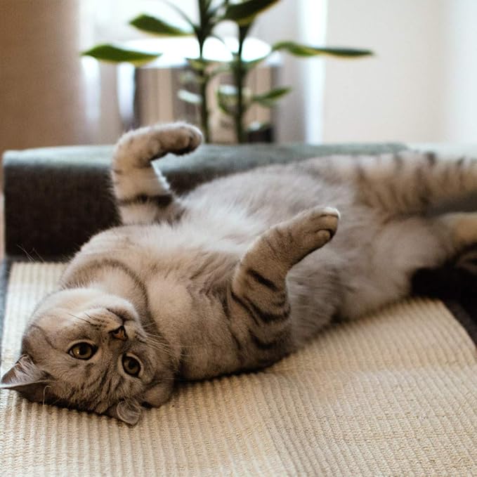 Navaris Cat Scratch Mat Sofa Protector - Natural Sisal Furniture Protector Scratching Pad for Cats - Scratch Carpet for Bed, Chair