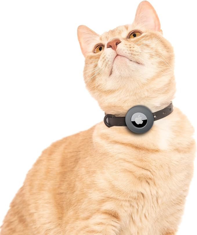 Airtag Silicone Cat Collar - Soft, Comfortable, and Lightweight Breakaway Collar with Air Tag GPS Tracker Holder for Outdoor Cats and Sensitive Skin Kittens by Nuvuq (6 ⅞" to 10 ¼", Black)