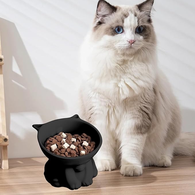 Elevated Cat Food Bowl, Raised and Tilted Water Bowl, Anti Vomiting and Protect Pets' Spines Dishes for Small Dog, Fat Faced Cat, Kitten (Black)