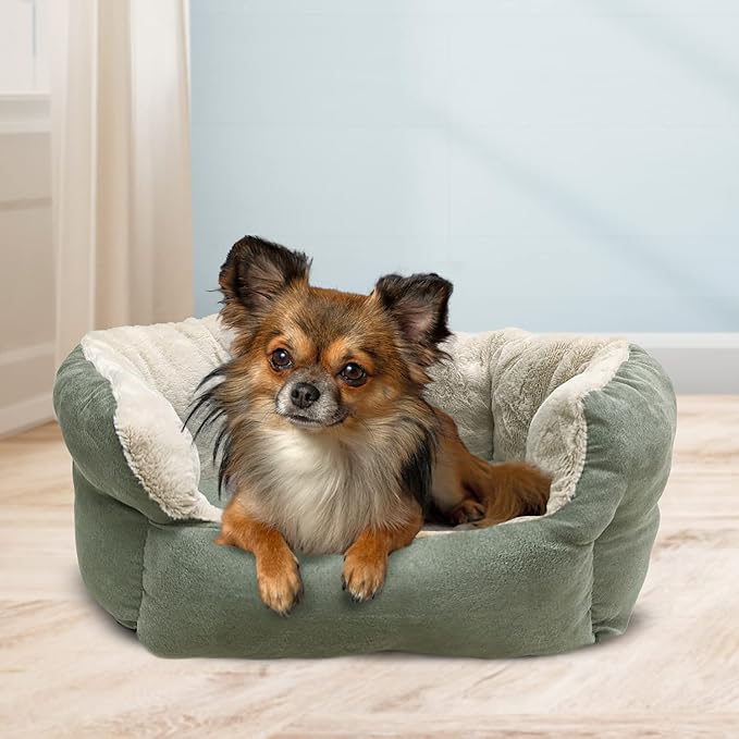 SPOT Sleep Zone Small Pet Bed - High Wall, Reversible Cushion Bed for Indoor Cats & Small Dogs, Durable Faux Suede, Machine Washable for Pets Under 10lbs and 15 inches Long - 18x16in, Sage Green