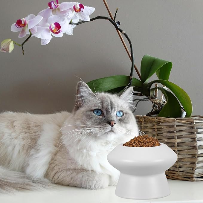 GANAZONO Ceramic Raised Pet Bowl High Feet Feeding Bowl with Whisker Relief Spill-Resistant Ceramic Pet Feeder for Water and Food Suitable for Cats with Flat Faces and Random Color