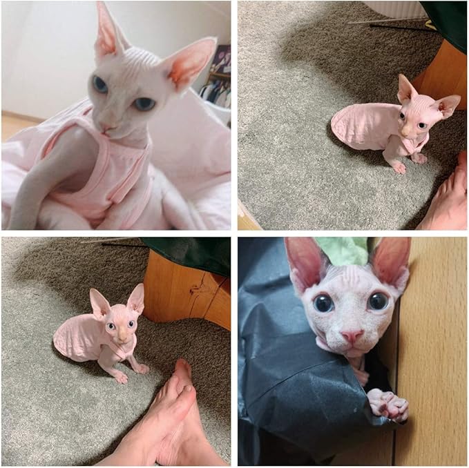 Hairless Cats Solid Cotton Camisole, Breathable Summer Tank Tops for Sphynx, Cornish Rex, Devon Rex, Peterbald, Cat Wear Hairless Cat Clothes Soft Skin-Friendly Cats Apparel Assorted Colors and Sizes