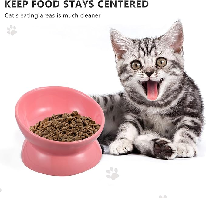 Ceramic Elevated Cat Bowl Tilted Raised Pet Feeder Bowl Neck Protection Non-Slip for Indoor Cats Feeding and Watering Random Color