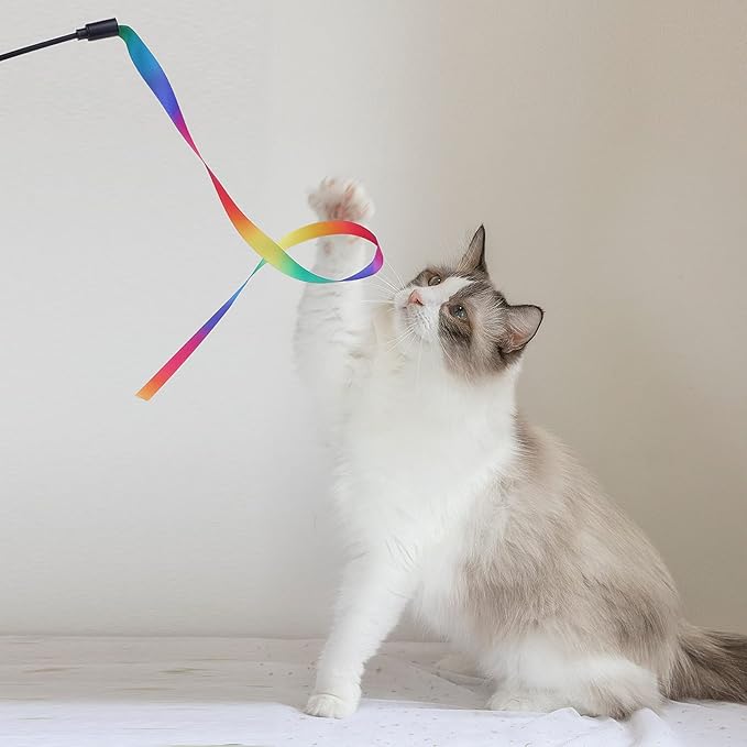 Molain Cat Wand Interactive Toy, 5 Sets Colorful Fabric Ribbon Sticks, Indoor Interactive Cat String Toy