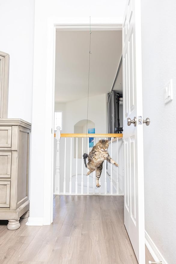 SPOT A-Door-Able Bouncing Mouse Cat Toy - Hanging Rattle & Catnip Interactive Toy, Entertain Cats for Hours, Indulge Natural Hunting Instincts, Provide Mental Stimulation, Suspend From Any Door Frame