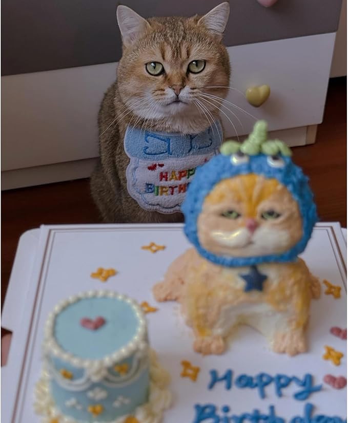 Lasflores Blue Boy Cat Birthday Supplies Set - Kitten Hat, Number Decor & Happy Birthday Banner Outfits