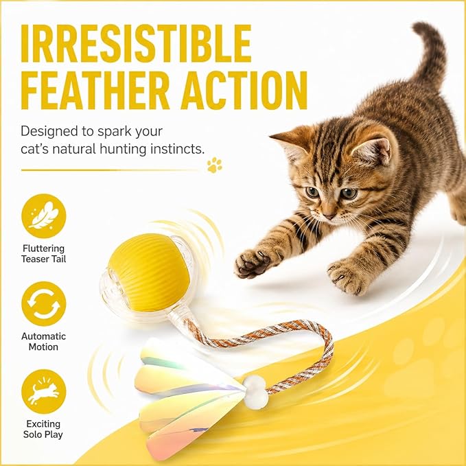 Interactive Cat Toy Ball with LED Lights – USB-C Rechargeable Automatic Cat Toy with Feather Tail for Indoor Cats & Kittens, Upgraded Version
