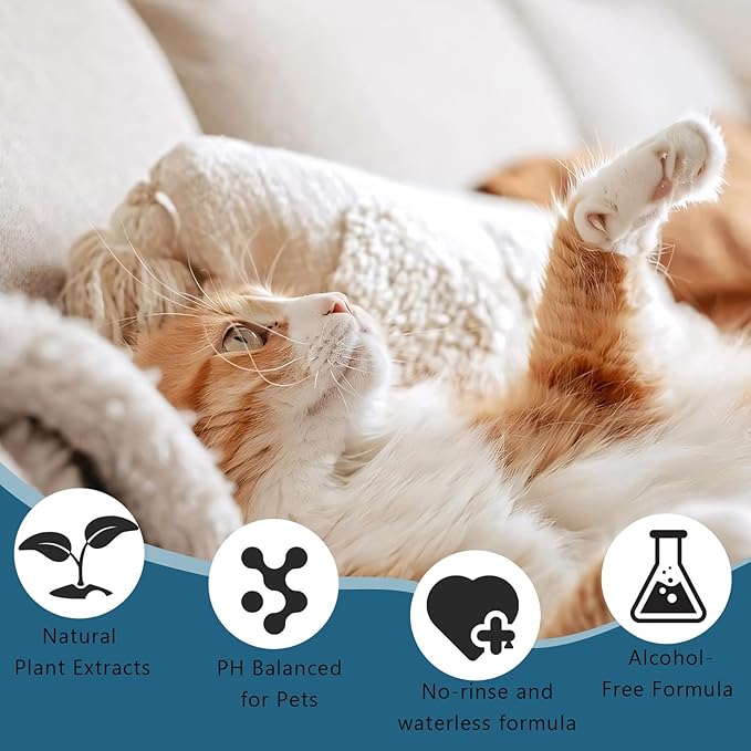 Pet Steam Brush Dog Cat 2026 New Grooming Comb for Shedding Concentrated Waterless Shampoo, 3-in-1 Grooming Spray Comb Mist, 2*Shampoo(Steam Brush not Included)