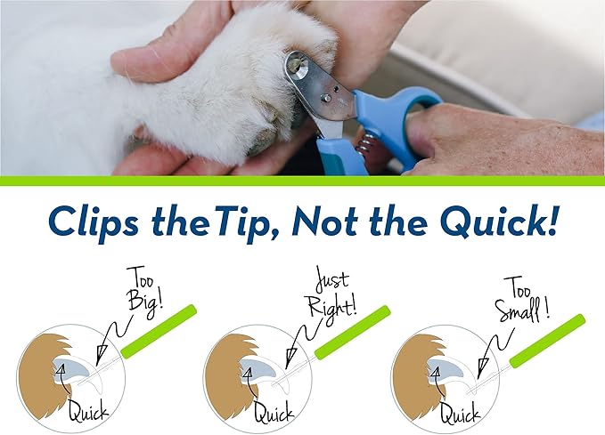 Zen Clipper Pet Nail Clipper for Dogs – Dog Nail Clipper for Safer Grooming and Nail Care - Clean, Quiet, and Easy-to-Use Stainless Steel Dog Nail Trimmer - (3mm Hole)