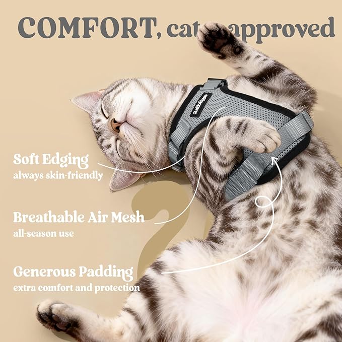 rabbitgoo Cat Harness and Leash for Walking, Escape Proof Soft Adjustable Vest Harnesses for Cats, Easy Control Breathable Reflective Strips Jacket, Grey, S