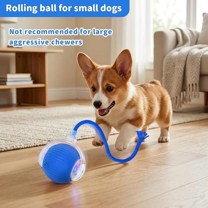 Interactive Cat Toys for Indoor Cats Smart Automatic Ball Rolling for Bored Kitten Pet Upgraded Speedy Moving Chase Dogs Toy Mothers Day Gifts Blue