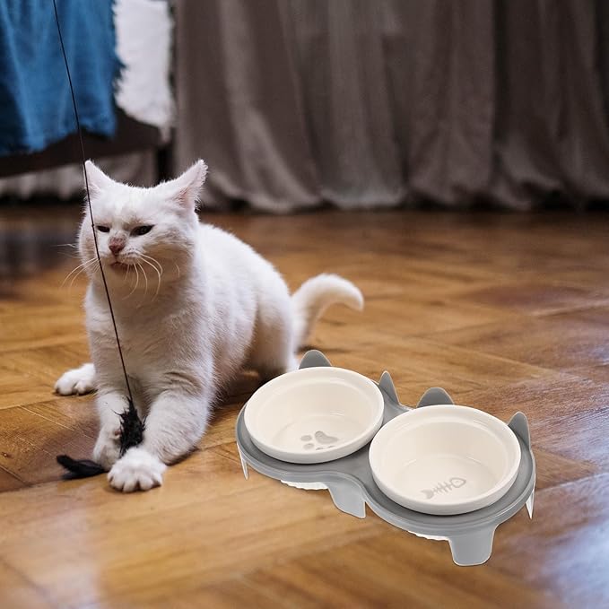 Ceramic Cat Bowl Elevated Double Feeding and Watering Bowls with Thickened Gray Anti-Slip Rack, Tilted Design for Neck Protection, Indoor Pet Supply for Cats