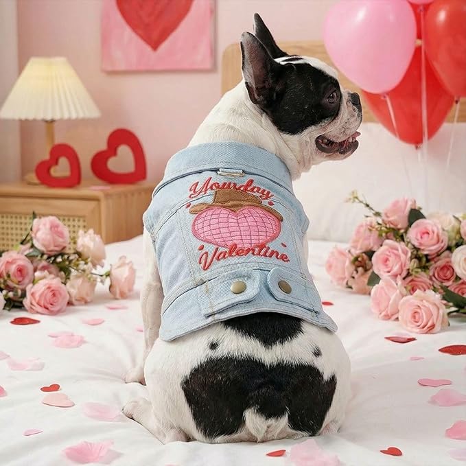 Valentine Denim Dog Jacket for Small Dogs Cats, Cute Cowboy Heart Embroidered Pet Vest with D-Ring for Leash, Lightweight Puppy Outfit for Daily Wear & Holidays(L)