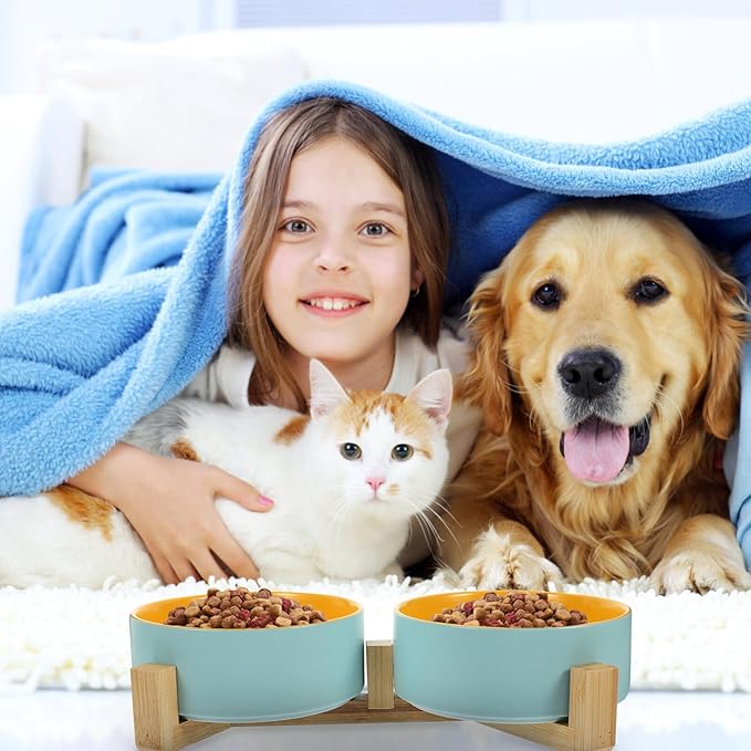 COLLBATH Ceramic Elevated Cat Bowl Set with Dual Bowls, Matte Two-Tone Blue and Yellow, Small Size with Wooden Stand, Kitten Supply for Indoor Feeding and Watering
