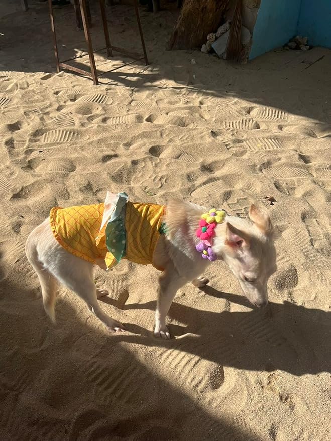 Funny Dog Swimwear Bikini Summer Dog Clothes Beach Swimsuit Puppy Bathing Suit Puppy Vest Cooling Shirts Pet Shirt for Small Dogs, Cat Apparel (X-Small, Yellow Pineapple)