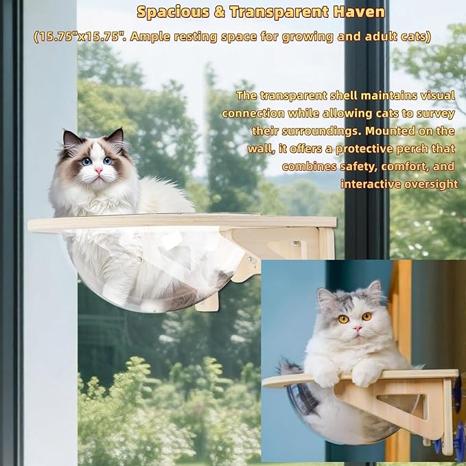 Clear Cat House, Wall-Mounted Wooden Cat Space Capsule Cat Bed Kitten Walls Shelves for Sleeping Playing Climbing and Lounging, Easily Holds Up to 16.5 Lbs, Cat Furniture for Indoor