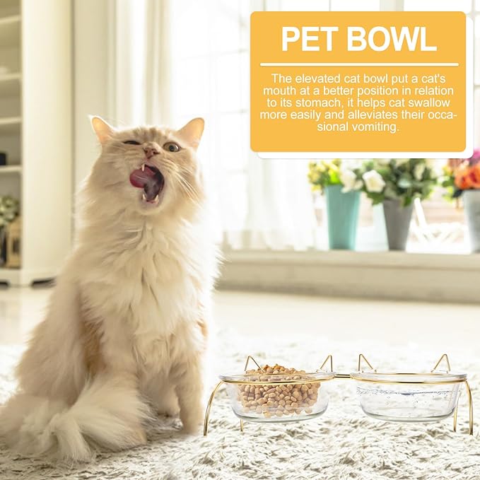 ELEOUTI Angled Cat Feeding Bowl Set with Neck Protection Double Bowls with Iron Raised Stand for Cats Suitable for Home Feeding and Watering