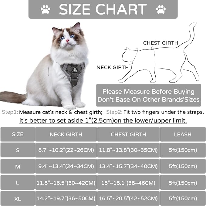 Cat Harness and Leash Set, Escape Proof Adjustable Vest with Leash for Walking with Kittens and Puppies Outdoor, Soft Mesh Jacket with Reflective Strips (M, Grey)