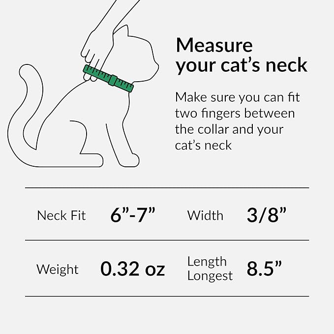 CollarDirect Leather Cat Collar with Removable Bell – Safety Elastic Strap (Breakaway Alternative) – Kitten Collar for Small & Big Boy & Girl Cats