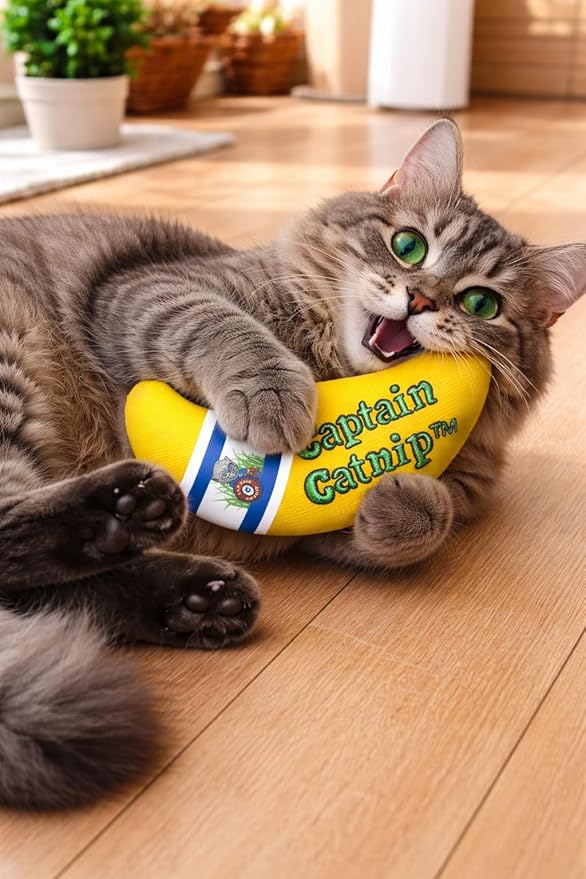 Captain Catnip Cat Banana Toy, Kitten Interactive Toy, Fun Playing Cat Toy, Filled with Organic Catnip for Indoor Cats (Pack of 2)