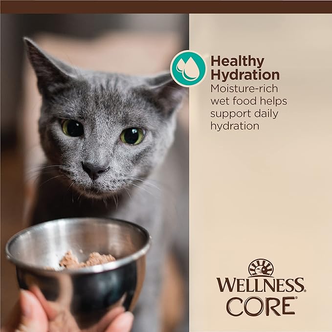 Wellness CORE Tiny Tasters Flaked Adult Wet Cat Food,Natural,Protein-Rich,Grain Free,1.75-Ounce Pouch,(Tuna & Salmon),(Pack of 24)