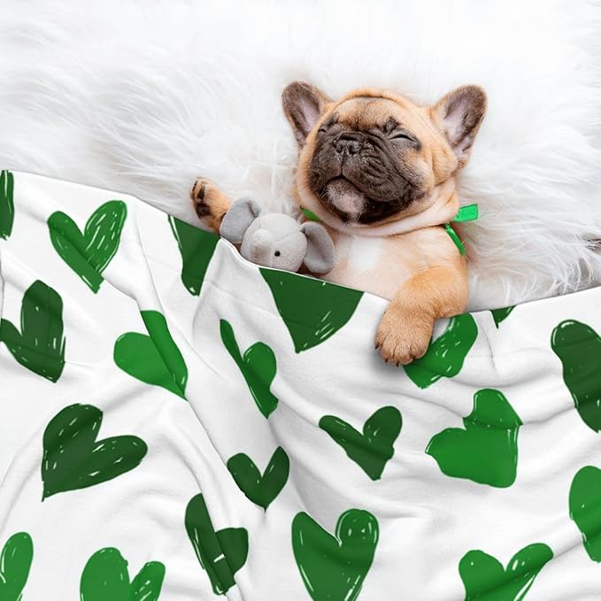 Cat Dog Blanket Green Hearts Ultra Soft Warming Mat for Indoor Pet Beds Furniture 27.6 X 19.7inch
