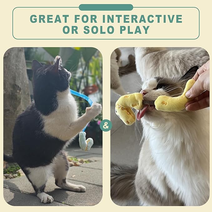Interactive Cat Toys Set, Silvervine Chew Sticks and Cat Spring Toy, Indoor Catnip Toys for Exercise and Dental Care, for Adult Cats and Kittens (10 Packs)