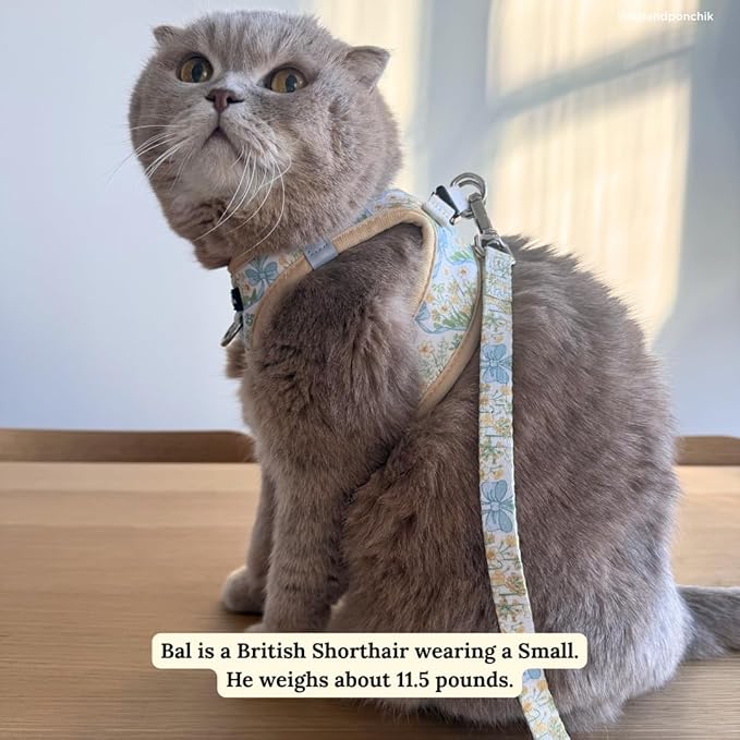 Lucy & Co. Sunshine and Daffodils Step-in Cat Harness and Leash Set Bundle, Breathable & Adjustable Harness for Cats, Kittens & Small Dogs, Lightweight & Secure and Dual Leash Clips – Large