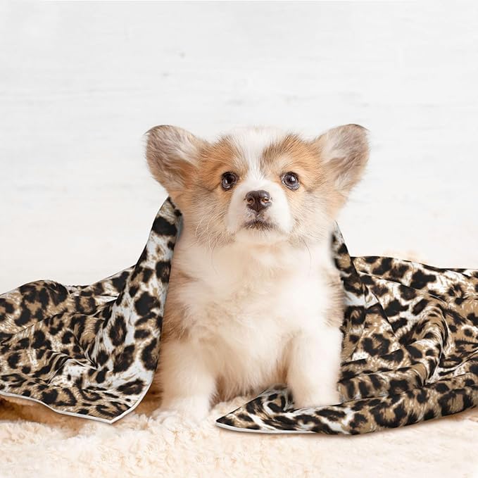Pet Blanket,Warming Ultra Soft Warming Mat for Indoor Pet Beds & Furniture Reversible Blanket Machine Washable 27.6 * 19.7Inch,Leopard Print