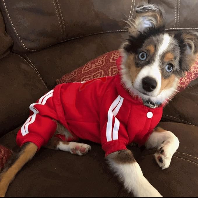 Pet Outfit - Cute Dog Hoodie Sweater Tracksuit Winter Clothes Jumpsuit Pajamas 4-Legs Red for Puppy Small Medium Large Dogs Boy or Girl (Large)