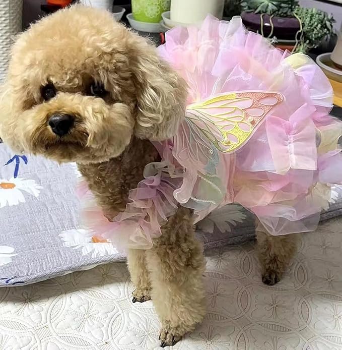 Dog Cute Rainbow Butterfly Dresses Cat Princess Dresses Pet Wedding Dresses Suitable for Corgis Teddy Dogs French Bulldog (Colorful Butterfly Skirt,XL)