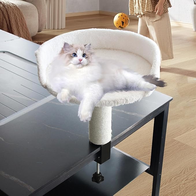 Desktop Cat Bed Round Hammock Elevated Perch for Indoor Cats Soft Stable Easy Assembly Kitten Furniture- White