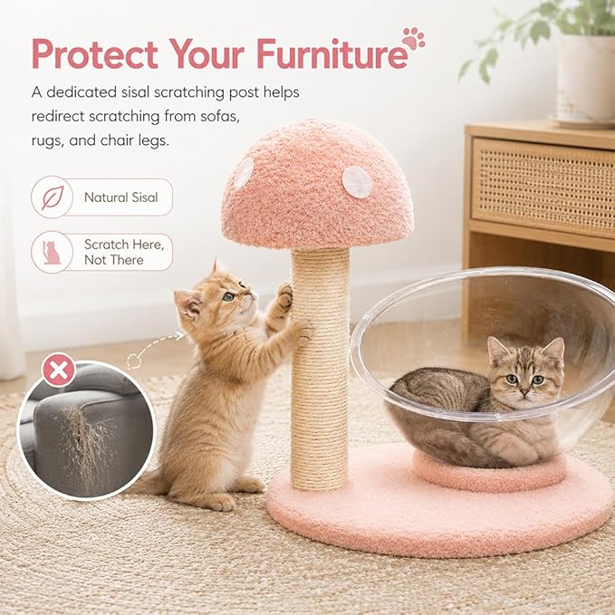Mushroom Cat Tree for Kittens and Small Cats, 14.17" Cat Scratching Post with Clear Bowl Bed, Pink Sisal Scratcher with Pom Pom Toy, Stable Plush Base, Easy Assembly for Indoor Cats