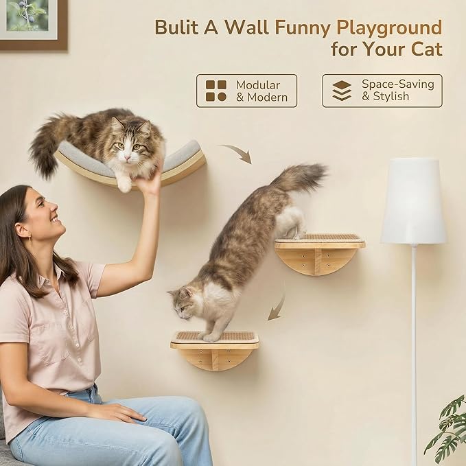 Cat Window Perches, Curved Cat Wall Beige Bed and 2 Floating Wall Steps, Wall Mounted Climbing Shelves for Sleeping, Playing, and Lounging