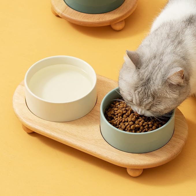 Havniva Raised Cat Bowls Water Bowl 5.1” Elevated Ceramic Cat Food and Water Bowl Whisker Friendly Pet Food Bowls for Indoor Cats, Wide Cat Water Dish Prevent Whisker Fatigue Non Slip Cat Feeder