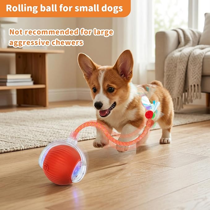 Interactive Cat Toys for Indoor Cats Smart Automatic Ball Rolling for Bored Kitten Pet Upgraded Speedy Moving Chase Dogs Toy Mothers Day Gifts Red Dragonfly