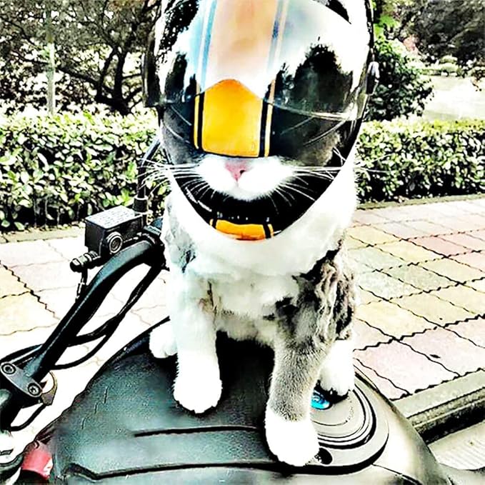 Pet Safety - Cat & Dogs Motorcycle Helmet - Full Face, Bike Riding & Outdoor (Black)