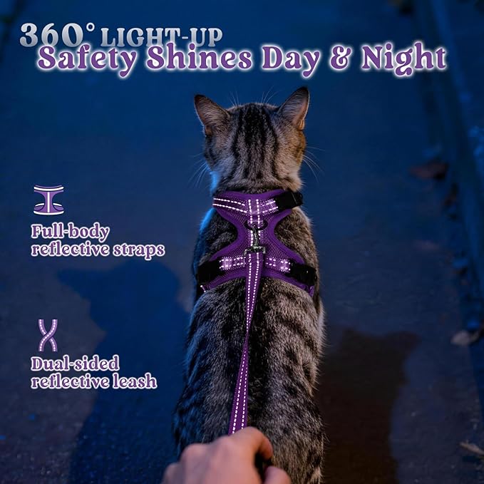 rabbitgoo Cat Harness and Leash, Escape Proof Vest with 3 Adjustable Buckles, Soft Comfortable Kitten Harness, Easy to Wear, Reflective for Safe Outdoor Walking, XS, Purple