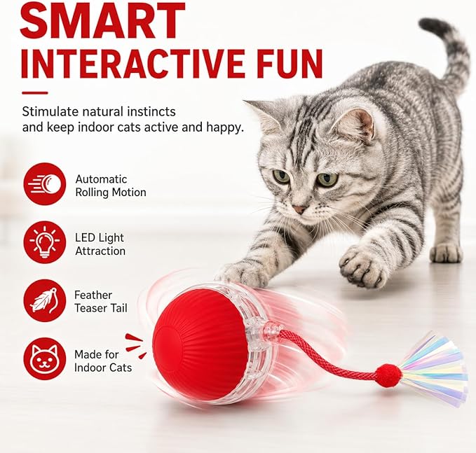 Interactive Cat Toy Ball with LED Lights, USB-C Rechargeable Automatic Cat Toy with Feather Tail, Smart Exercise Toy for Indoor Cats & Kittens, Upgraded Version