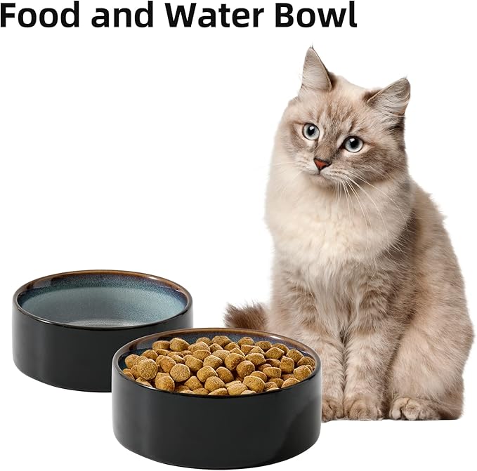 Havniva Cat Bowls Water Bowl Set of Two, 5.1” Ceramic Cat Food and Water Bowl Whisker Friendly Pet Food Bowls for Indoor Cats, Wide Cat Water Dish Prevent Whisker Fatigue Non Slip Cat Feeder