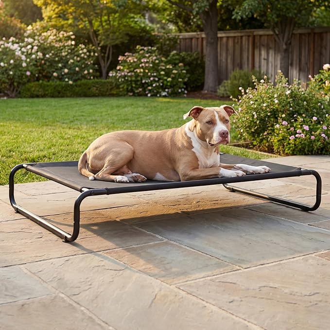 Veehoo Cooling Elevated Dog Bed, Outdoor Dog Bed for Large Dogs, Raised Dog Cot with Thickened Frame, Durable Teslin Mesh & Anti-Slip Rubber Feet, Pet Hammock for Indoor or Camping, 45" x 30", Black