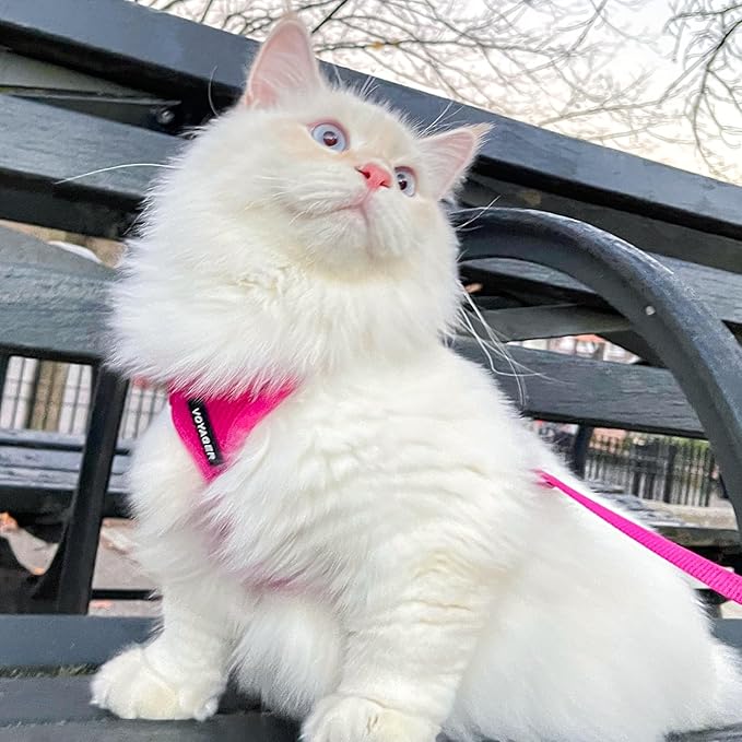 Voyager Escape-Proof Step-in Lock Cat Harness & 5ft Neoprene-Handle Leash Set All-Weather Mesh with Reflective Stitching for Small to Large Cats by Best Pet Supplies, Fuchsia, XS