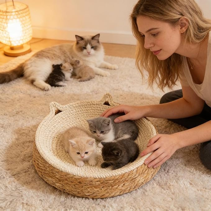 Cat Scratcher Bowl - Breathable Woven Nest - Kitten Ear Design Cotton Rope Woven Cat Bed,for Play, Exercise, Enrichment, Activity, Nail Trimming, Paws Care, Furniture Safety