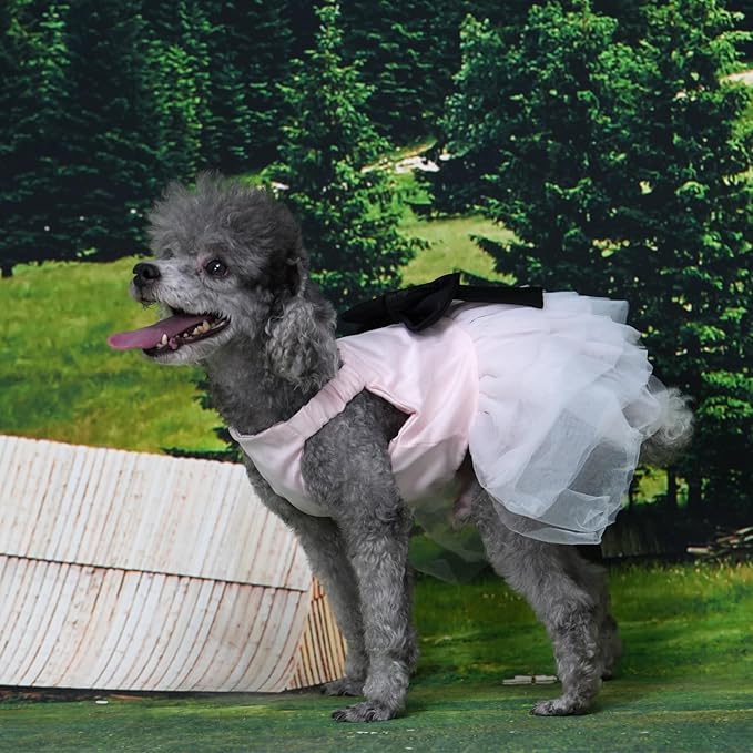 Dog Dress,Pet Wedding Dress Princess Formal Tutu Skirt with Bowknot,Puppy Birthday Party Outfit Apparel Girl for Small Dogs Cats (Pink, X-Small)
