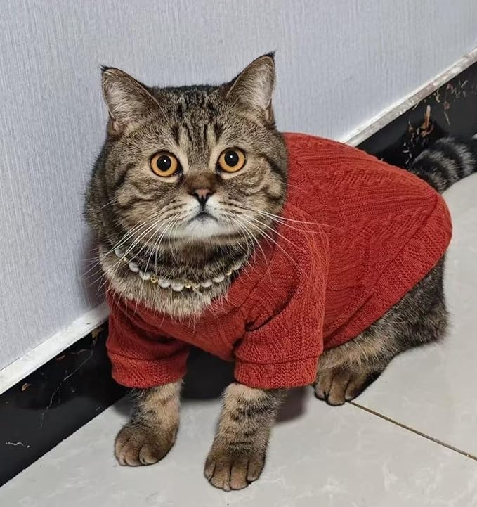 Kitten Clothes, Dog Cat Sweaters Pet Puppy Knitwear Costume Fall Winter Coat for Small Medium Cats Dog Girl Boy Fit 2.2-23lb