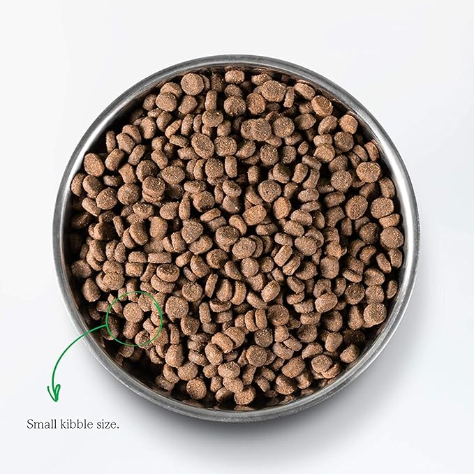 Open Farm Wild-Caught Salmon Grain-Free Dry Cat Food, Responsibly Sourced Pacific Salmon Recipe with Non-GMO Superfoods and No Artificial Flavors or Preservatives, 2 lbs, 2 Pound (Pack of 1)